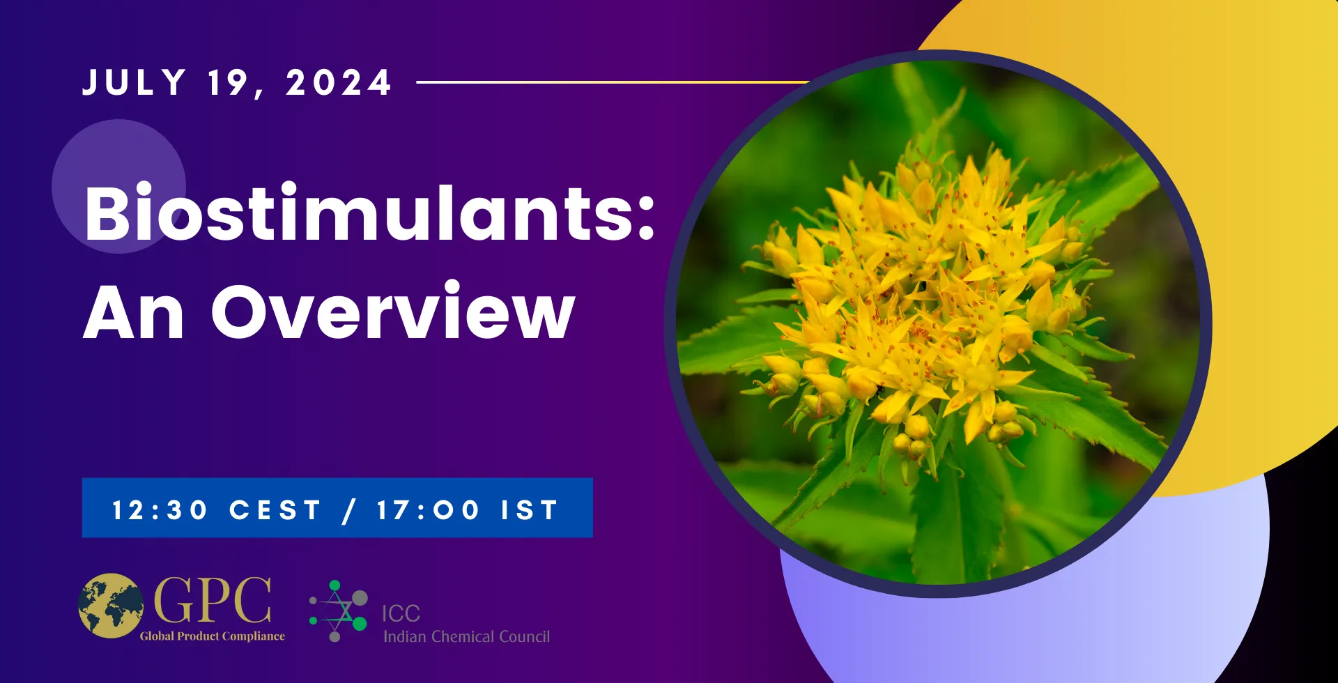 Biostimulants: An Overview in 2024