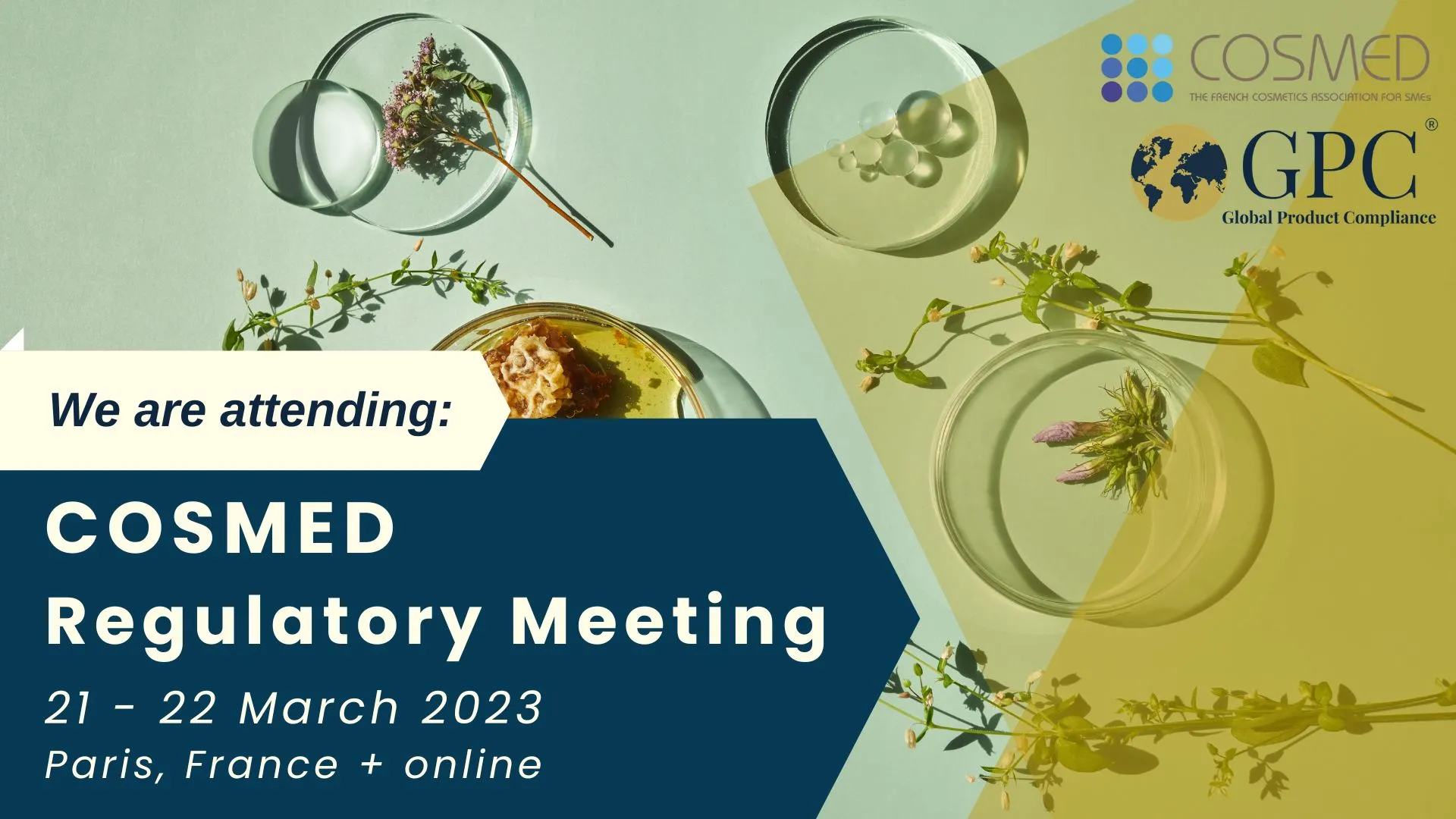 COSMED Regulatory Meeting 2023
