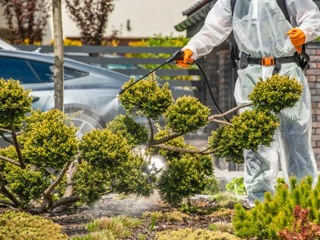 EU’s disapproval of methylene dithiocyanate for biocidal products