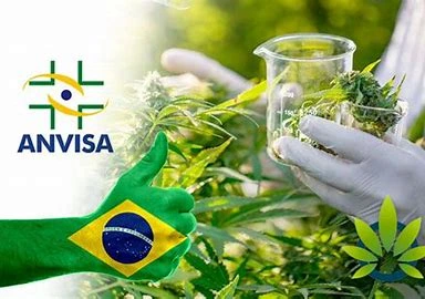 ANVISA's Regulatory Agenda For Next Year: Enhancing Standards Across Diverse Product Categories