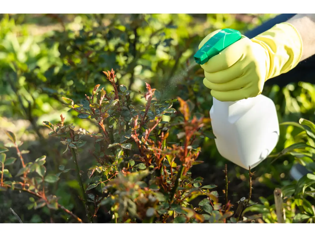 Brazil Launches Environmental Monitoring Strategy for PFOS and Pesticides