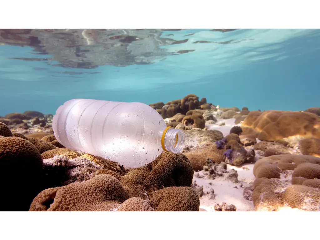 Brazil Launches National Strategy to Eliminate Ocean Plastic by 2030