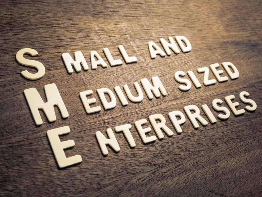 ECHA Advises SMEs to Check Company Size in REACH-IT to Avoid Extra Charges Image