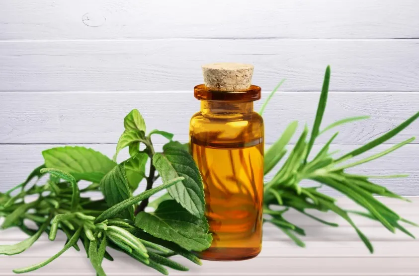 ECHA RAC Classifies Essential Oil Fragrances as Reproductive Toxicants: Burgeonal and Cyclamal Under Scrutiny Image