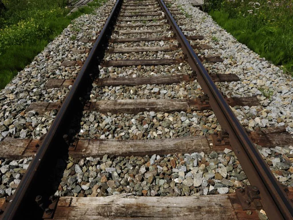 ECHA’s Risk Assessment Committee supports ban on secondary uses of creosote-treated wood 