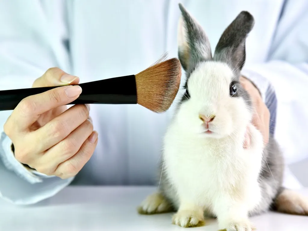 EU Call for Evidence: Roadmap to Phase Out Animal Testing in Chemical Safety Assessments