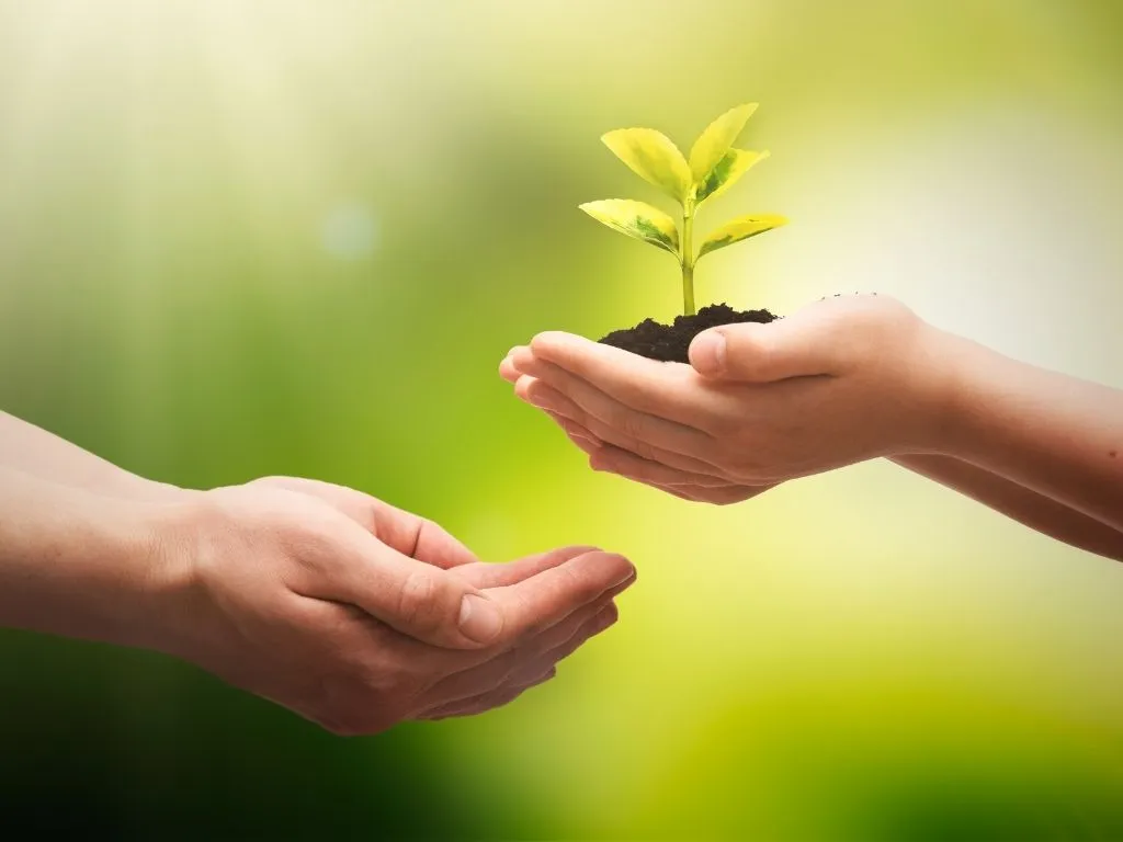 EU Commission Presents Environment Omnibus to Simplify Environmental Legislation