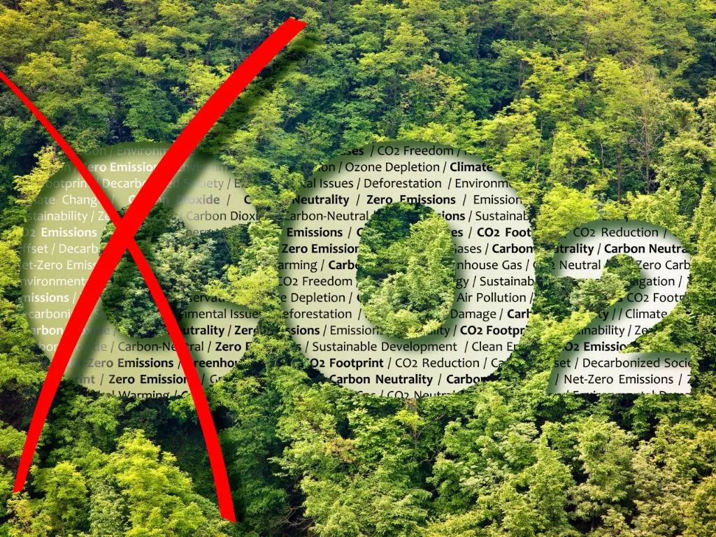 EU prepares to certify carbon removal to help tackle climate change  Image