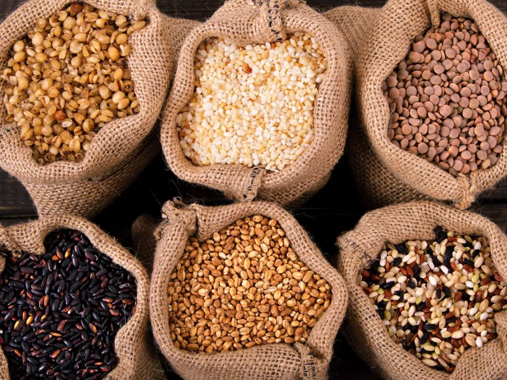 Important Update in for Seeds Suppliers to Lithuania: Labelling Requirements for Treated Seeds