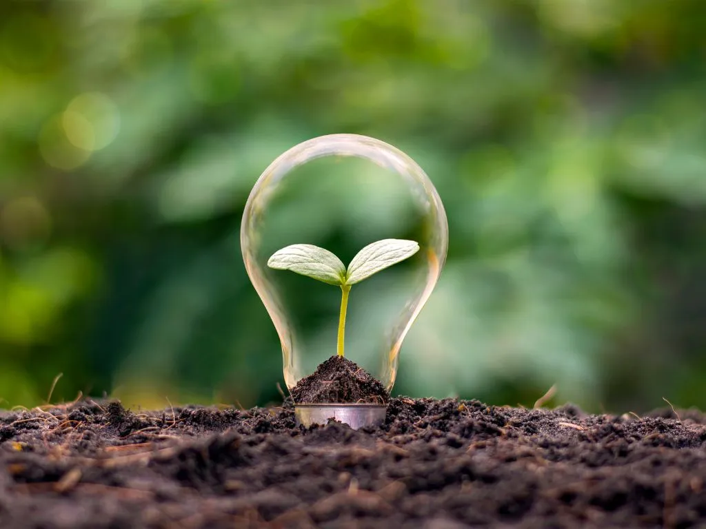 Improving innovation and growth within the european chemical industry through safe and sustainable by-design 