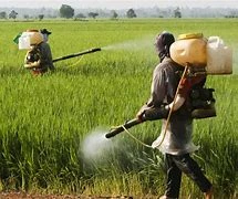 Incorporating Cutting-Edge Technologies Into Biological Pesticides Registration in Brazil