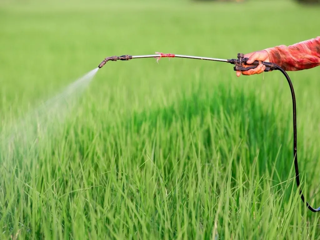 India published a new guideline and regulation on insecticides Image