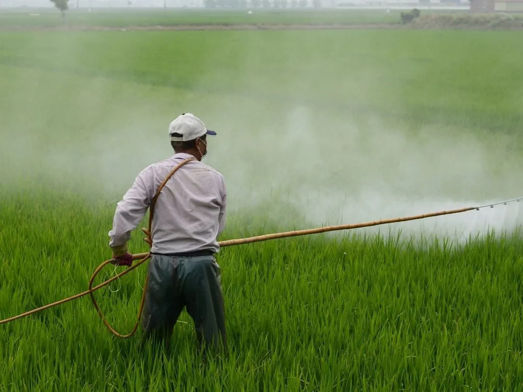 India Notifies Addition of Six New Insecticides Under the Insecticides Act, 1968 