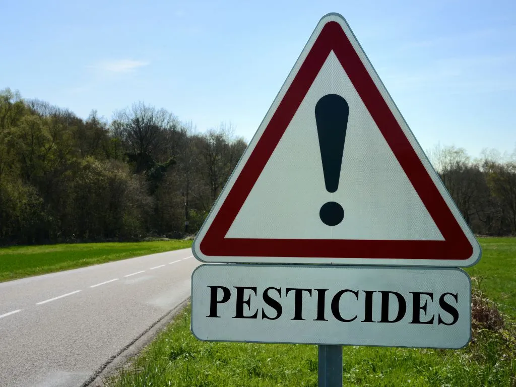 Lithuanian Authorities Ban Glyphosate Use in Buckwheat Ahead of Harvest