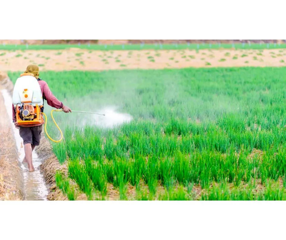 Mexico: Amendments to the Regulations of the CICOPLAFEST Agreement