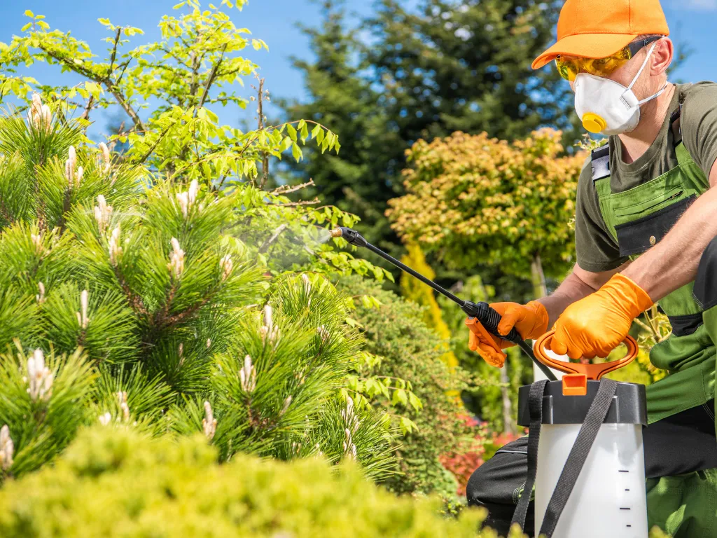 Ratification of pesticides in Kenya