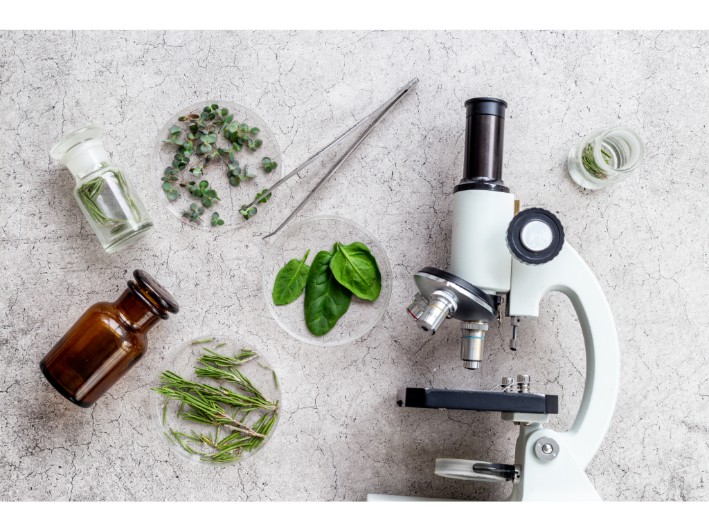 SENASA Updates Procedures for Analytical Testing in Agricultural Product Registrations