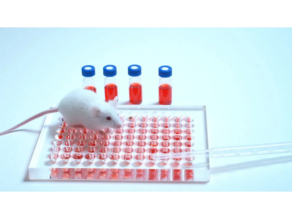 South Korea has drawn up an amendment to the Guidelines for Alternatives to Animal Testing. 