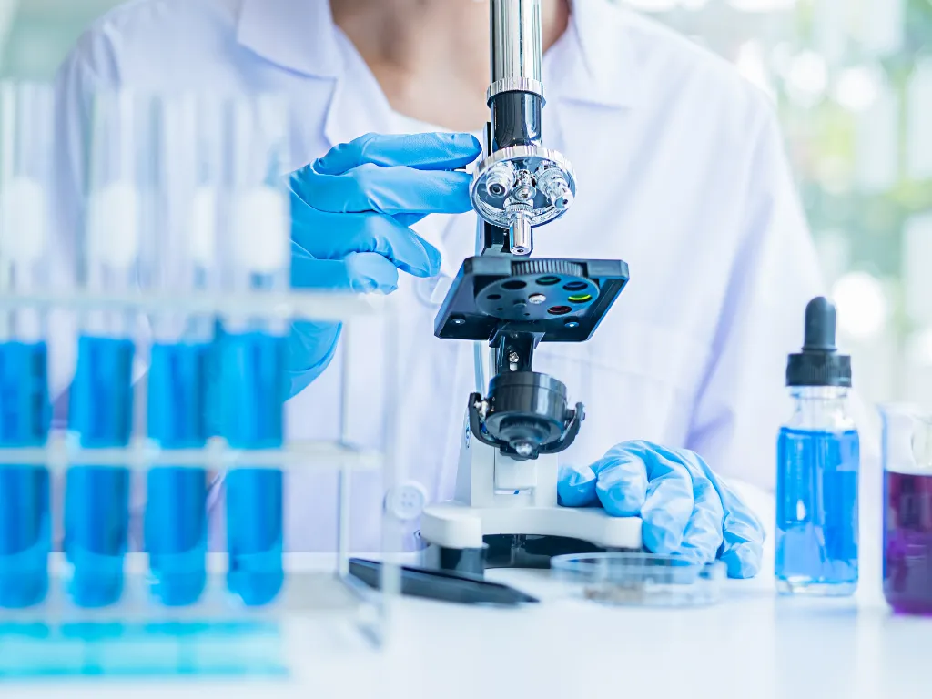 South Korea Begins Construction of National Animal-Free Testing Facility - Completion Set for 2026 