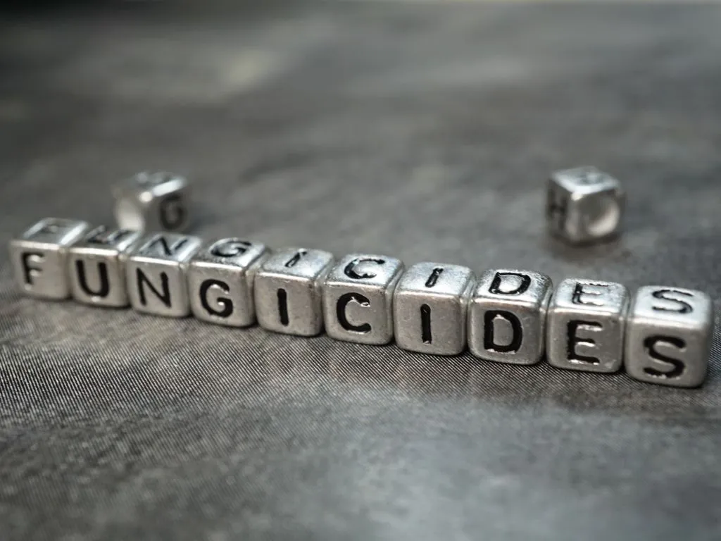 UK: Three popular fungicides are on the way out