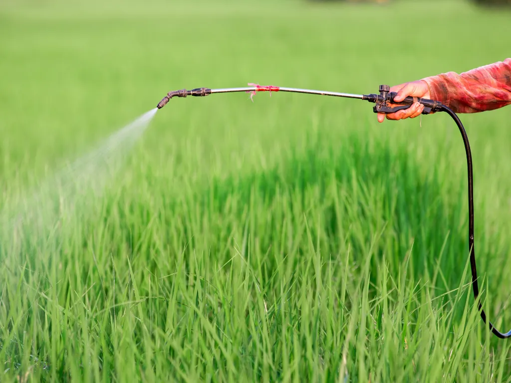 Uruguay plans to ban 5 active substances in pesticide products 