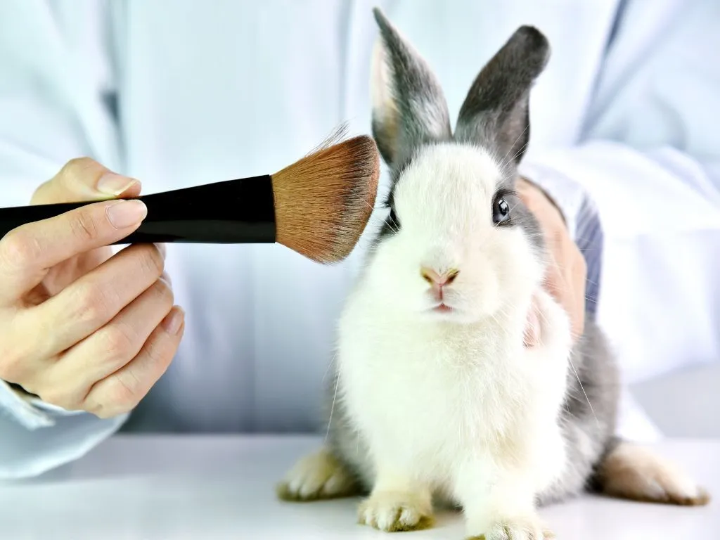 Washington State Implements Stricter Regulations Prohibiting Cosmetic Animal Testing