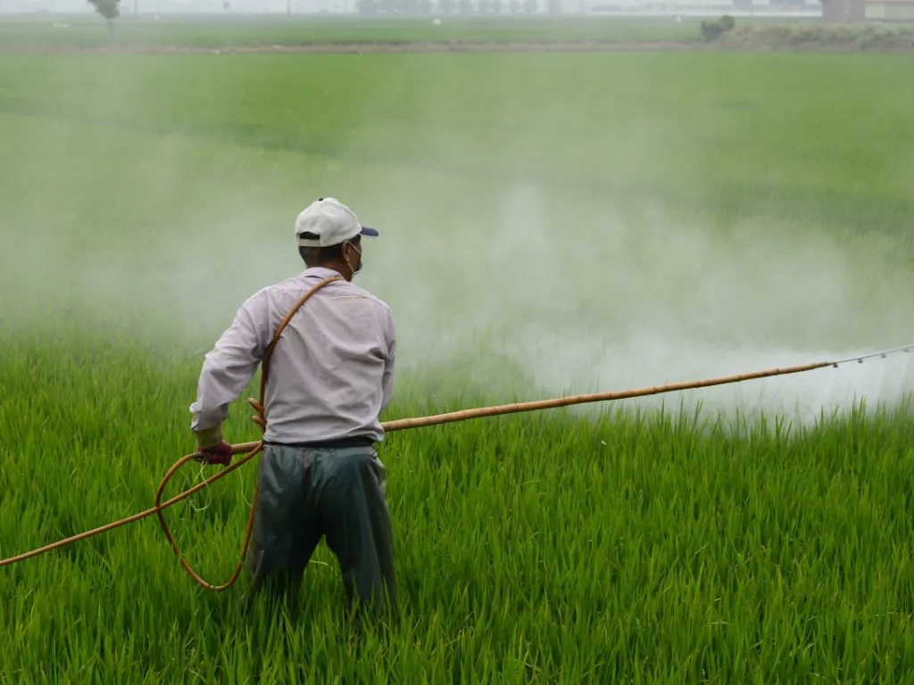 ECHA Maintains Glyphosate Classification Following Review Image