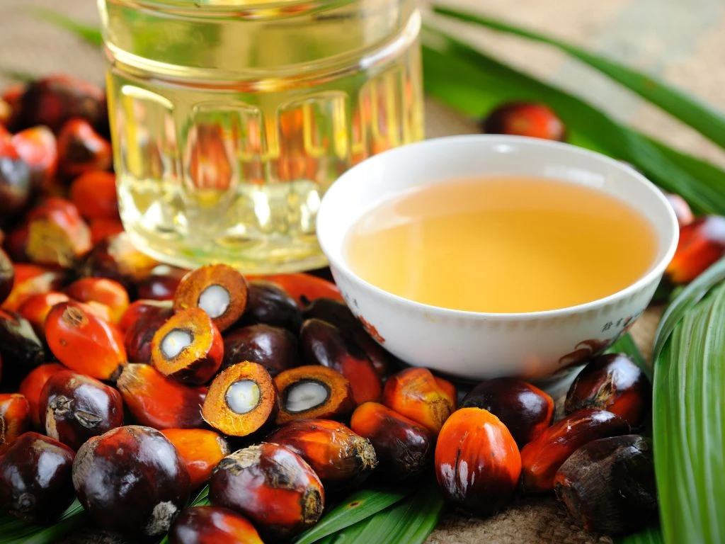 EU Expands EUDR Scope to More Oil Palm Derivatives Image