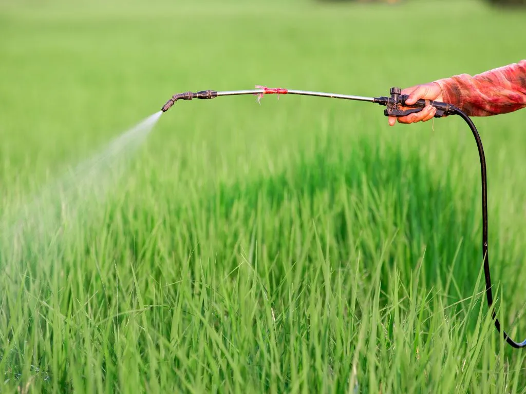 Indian Government Notifies Digital-First Amendments to Insecticides Rules, 1971