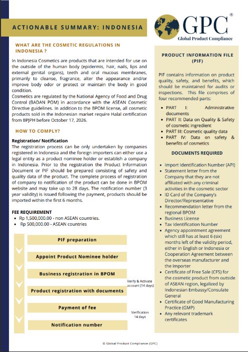 ActionableSummary-Indonesia(Cosmetics).JPG