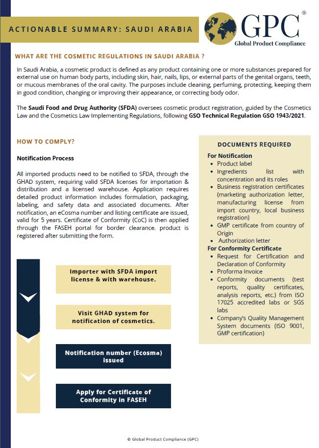 ActionableSummary-SaudiArabia(Cosmetics).JPG